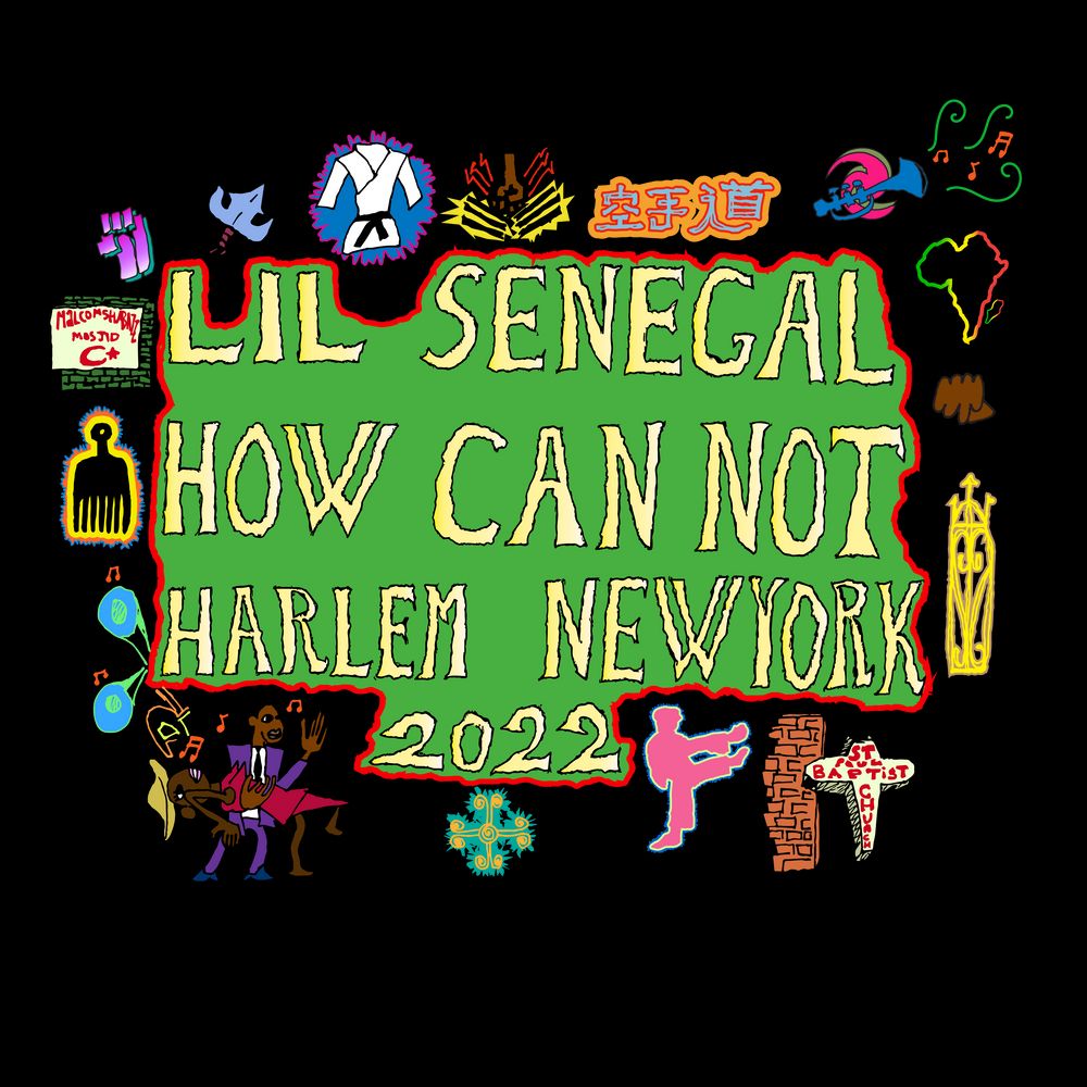 Little Senegal in Harlem, N.Y.